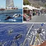 Playa De Mogan Alysio 5