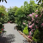 Cottage Bougainville