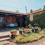 Casa Palmera