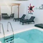 Aloe Suite