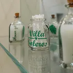Palm Tree By Villa Soleros Gay Friendly Adult Only