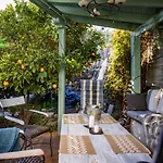 The Lemon Tree