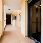 Palm Mar De Lux C31