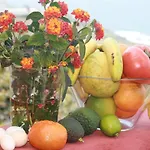 Bucare, Finca Jardin Del Rincon Barreto