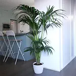 Vivienda Vacacional El Cabo