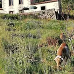 Casa Rural Las Caldereras