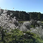 Finca La Bonita