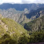 Palma Tellus