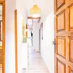 Apartamento Sweet Calma