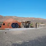 Tara Domo