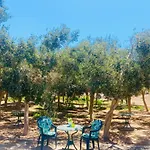 Olive Bungalow