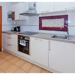 Anahi Homes Corralejo - Villa Dracaena 2