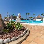 Perla Marina En Rocas Del Mar