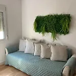 Dream Discovery