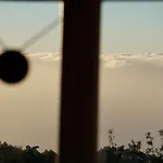 Tiny House Vogelnest