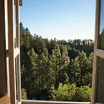 Tiny House Vogelnest