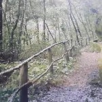Brenas Garden C9