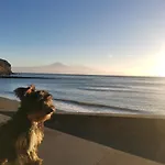 Gomeron