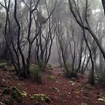La Casita De Descanso - Das Haeuschen Der Ruhe - La Luz - La Orotava