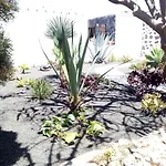 Casa Noema