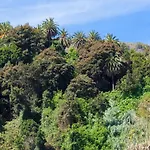 Casa El Mirlo: Paraiso Rural Con Piscina Y Hermosos Jardines En Icod De Los Vinos, Tenerife - Es-279-20