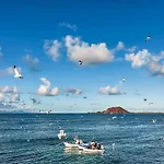 Ocean Breeze