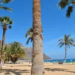 Cristi Puerto Santiago Apartment By Hrtenerife Net