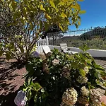 Tenerife Tacoronte