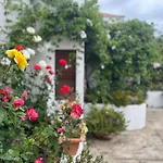 Casa Los Palitos