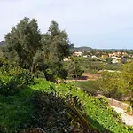 Live Finca El Gamonal Bajo Con Piscina Y Jardin En La Naturaleza