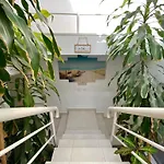 Casa Del Arbol