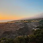 Marazul Del Sur