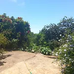 La Carpintera