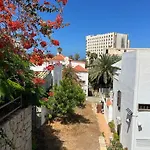 Jacaranda, Where Calm And Joy Go Hand In Hand