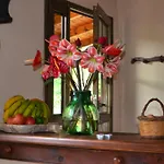 Cosy Chalet With Terrace In Hermigua - Ideal For Couples