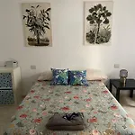 Oasis