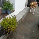 Casa Nieves De Mario