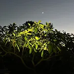 Mi Casita De Chimaca