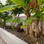 Pippa'S House