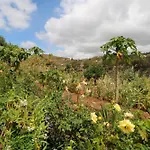 Countryside Views House Teror