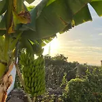 Un Paraiso En Tenerife