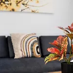 Apartamento Bellavista, Bajo Alcala