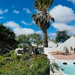Canaryislandshost L Las Palmeras