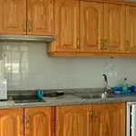 El Bajio Nr 7