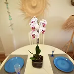 Casa Ati.Ko Beach Apartment