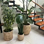 Stunning 2 Bedroom Duplex Close To Main Beach With Seaviews