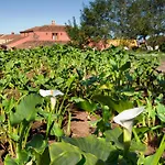 Casa Rural El Adelantado