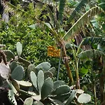 La Casita Del Jardinero