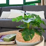 Casa Alicia Central Town By Babiniliving
