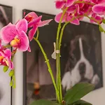 Apartamento Las Flores3